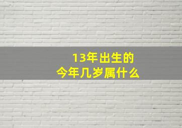 13年出生的今年几岁属什么