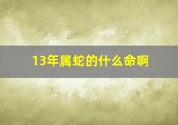 13年属蛇的什么命啊