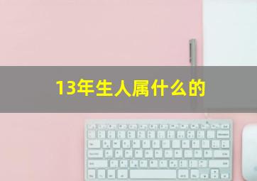 13年生人属什么的