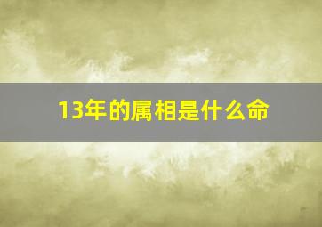 13年的属相是什么命