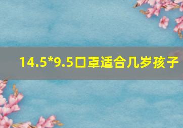 14.5*9.5口罩适合几岁孩子