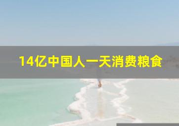 14亿中国人一天消费粮食