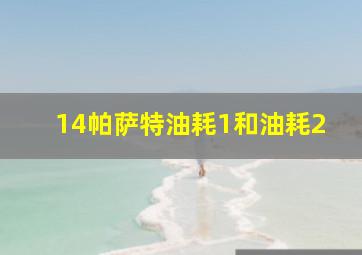 14帕萨特油耗1和油耗2