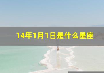 14年1月1日是什么星座