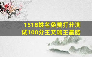 1518姓名免费打分测试100分王文瑞王晨皓