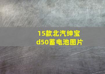 15款北汽绅宝d50蓄电池图片