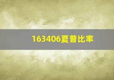 163406夏普比率