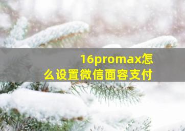 16promax怎么设置微信面容支付