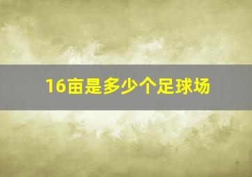 16亩是多少个足球场