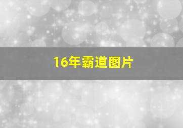 16年霸道图片