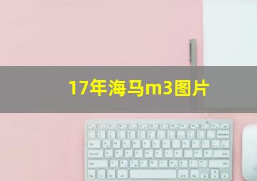 17年海马m3图片