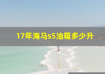 17年海马s5油箱多少升