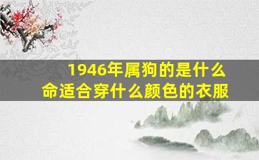 1946年属狗的是什么命适合穿什么颜色的衣服