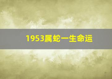 1953属蛇一生命运