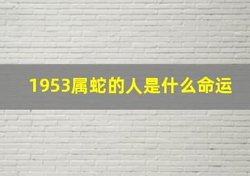 1953属蛇的人是什么命运