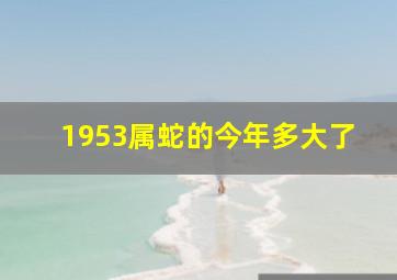 1953属蛇的今年多大了