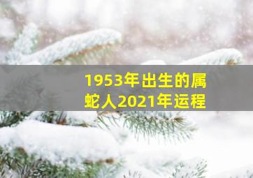 1953年出生的属蛇人2021年运程