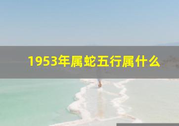 1953年属蛇五行属什么