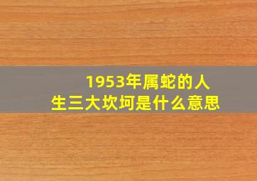 1953年属蛇的人生三大坎坷是什么意思