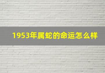 1953年属蛇的命运怎么样