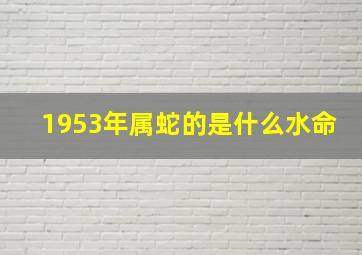 1953年属蛇的是什么水命