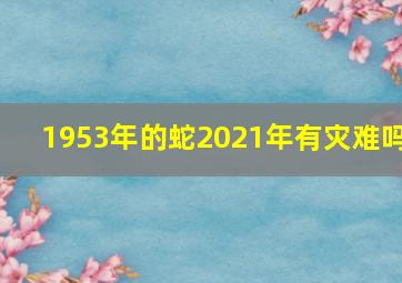 1953年的蛇2021年有灾难吗