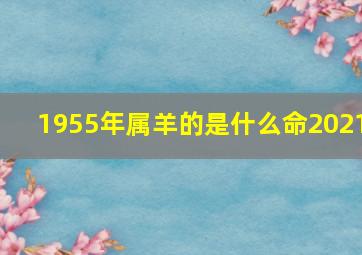 1955年属羊的是什么命2021