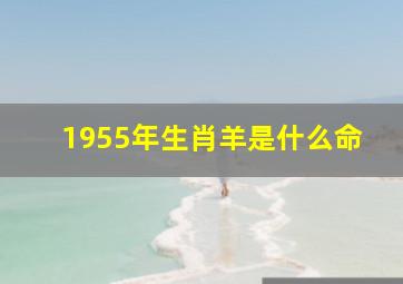 1955年生肖羊是什么命