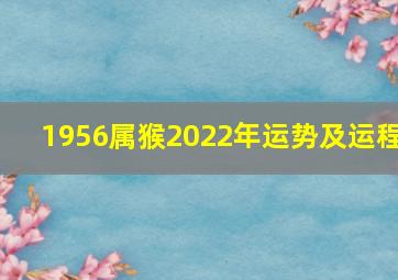 1956属猴2022年运势及运程