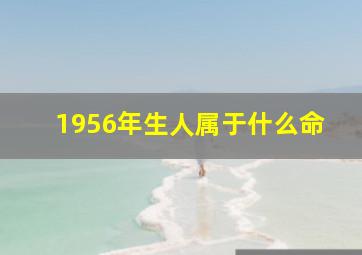 1956年生人属于什么命