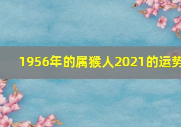 1956年的属猴人2021的运势