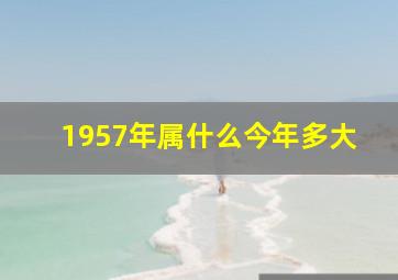 1957年属什么今年多大