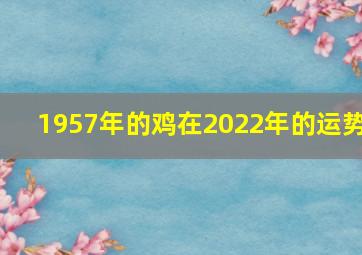 1957年的鸡在2022年的运势