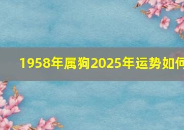 1958年属狗2025年运势如何