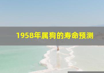 1958年属狗的寿命预测