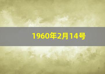 1960年2月14号