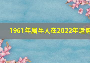 1961年属牛人在2022年运势