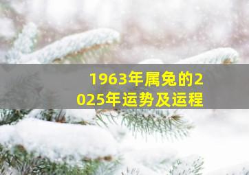 1963年属兔的2025年运势及运程