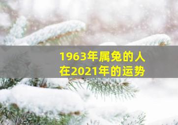 1963年属兔的人在2021年的运势