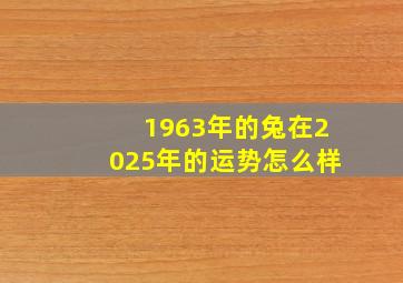 1963年的兔在2025年的运势怎么样