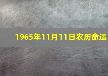 1965年11月11日农历命运