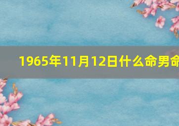 1965年11月12日什么命男命