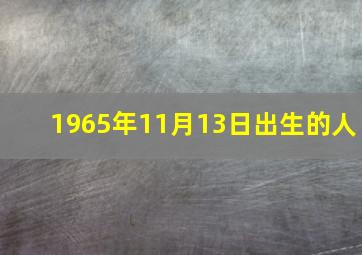 1965年11月13日出生的人