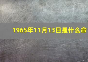 1965年11月13日是什么命