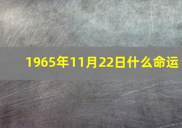 1965年11月22日什么命运