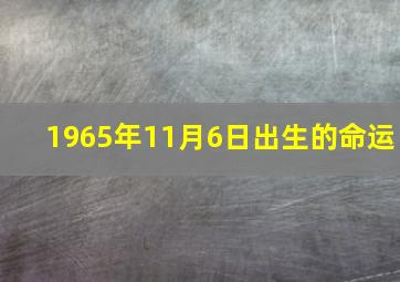 1965年11月6日出生的命运