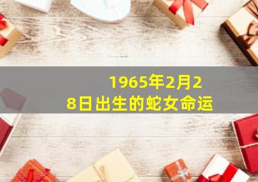 1965年2月28日出生的蛇女命运