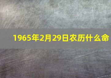 1965年2月29日农历什么命