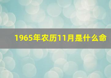 1965年农历11月是什么命