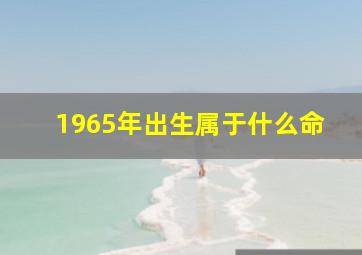 1965年出生属于什么命